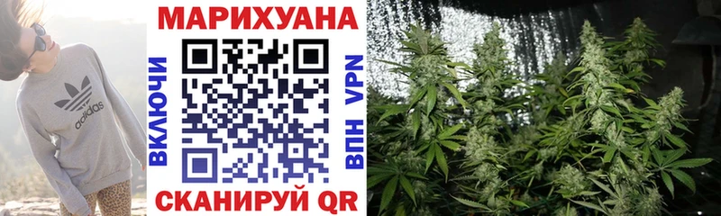 Бошки марихуана сатива Мезень